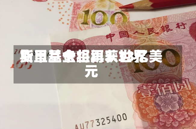 斯里兰卡将再获世界
货币基金组织3.33亿美元-第2张图片