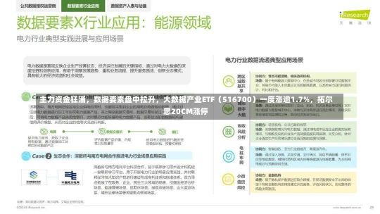 主力资金狂涌，数据要素盘中拉升，大数据产业ETF（516700）一度涨逾1.7%，拓尔思20CM涨停