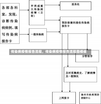 传染病疫情报告流程，传染病疫情报告流程图模板-第3张图片