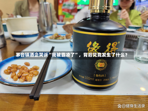 茅台镇酒企哭诉“我被霸凌了”，背后究竟发生了什么？-第3张图片