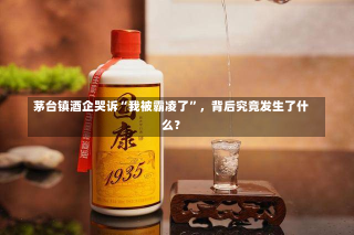 茅台镇酒企哭诉“我被霸凌了”，背后究竟发生了什么？