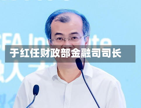 于红任财政部金融司司长