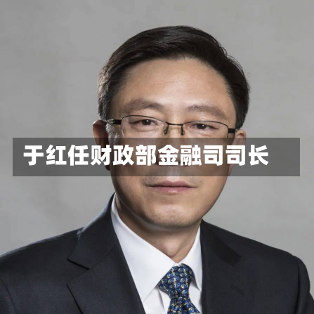 于红任财政部金融司司长-第3张图片