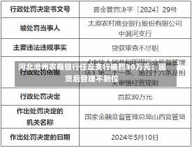 河北沧州农商银行任丘支行被罚30万元：因贷后管理不到位-第3张图片