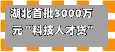 湖北首批3000万元“科技人才贷”落地