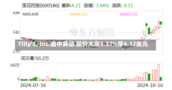 Tilly'S, Inc.盘中异动 股价大涨5.37%报4.12美元-第2张图片