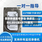 西部数据盘中异动 快速拉升5.00%报69.75美元