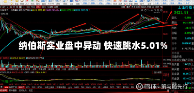 纳伯斯实业盘中异动 快速跳水5.01%