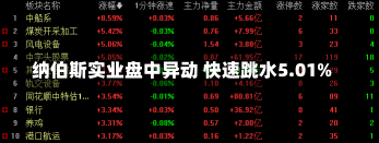 纳伯斯实业盘中异动 快速跳水5.01%-第2张图片