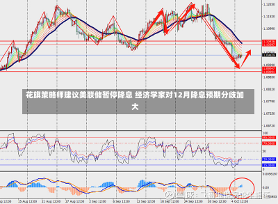 花旗策略师建议美联储暂停降息 经济学家对12月降息预期分歧加大-第1张图片