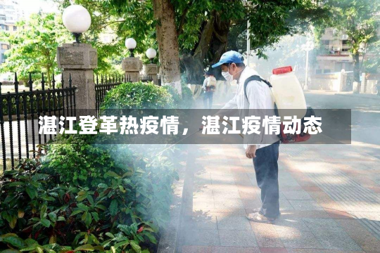 湛江登革热疫情，湛江疫情动态