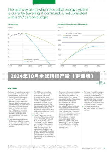 2024年10月全球粗钢产量（更新版）-第2张图片