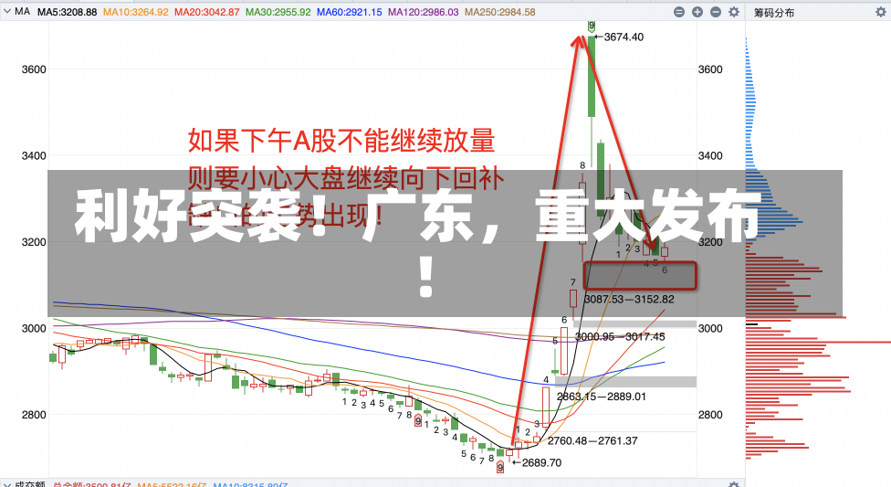 利好突袭！广东，重大发布！-第2张图片