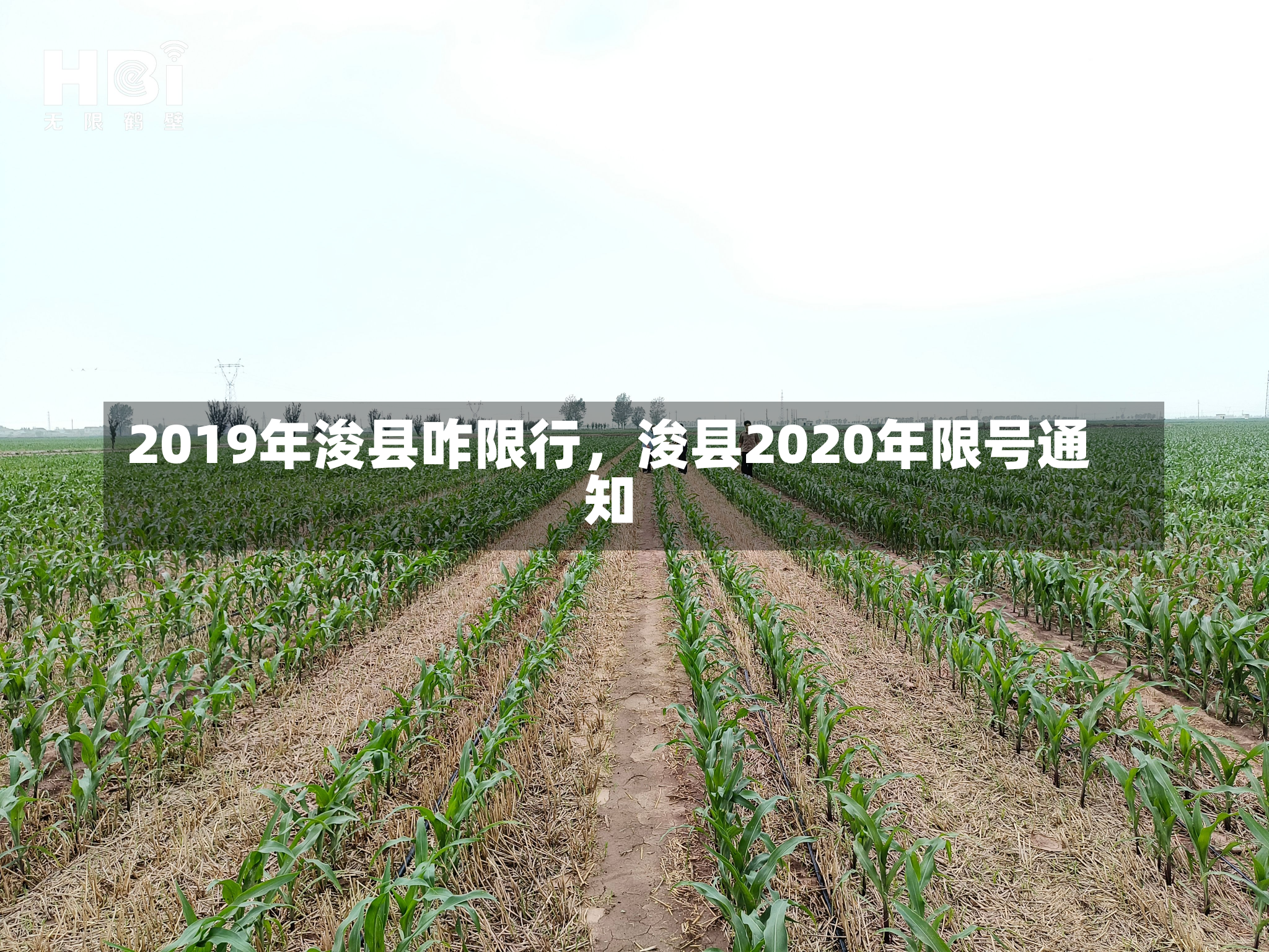 2019年浚县咋限行，浚县2020年限号通知