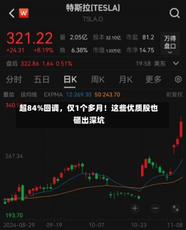 超84%回调，仅1个多月！这些优质股也砸出深坑-第2张图片