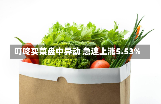 叮咚买菜盘中异动 急速上涨5.53%