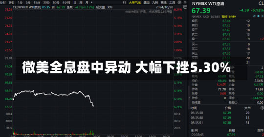 微美全息盘中异动 大幅下挫5.30%-第3张图片