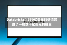 Databricks以550亿美元的估值完成了一轮数十亿美元的融资-第3张图片