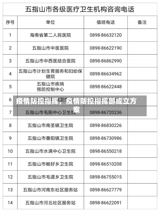 疫情防控指挥，疫情防控指挥部成立方案-第3张图片