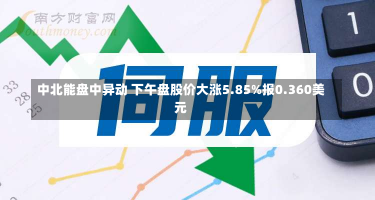 中北能盘中异动 下午盘股价大涨5.85%报0.360美元