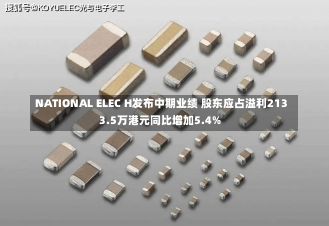 NATIONAL ELEC H发布中期业绩 股东应占溢利2133.5万港元同比增加5.4%-第2张图片