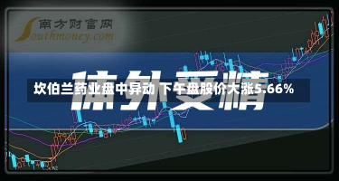 坎伯兰药业盘中异动 下午盘股价大涨5.66%