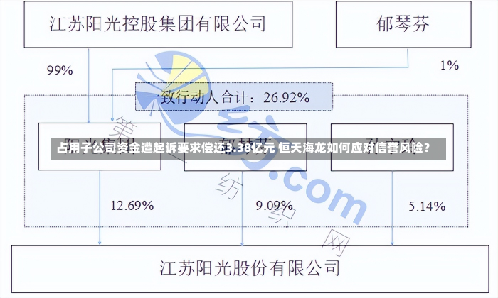 占用子公司资金遭起诉要求偿还3.38亿元 恒天海龙如何应对信誉风险？-第3张图片