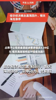 占用子公司资金遭起诉要求偿还3.38亿元 恒天海龙如何应对信誉风险？-第2张图片