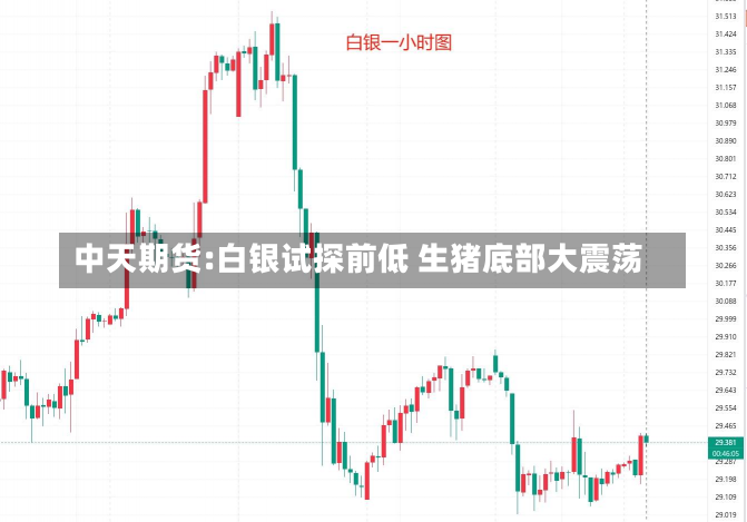 中天期货:白银试探前低 生猪底部大震荡-第2张图片