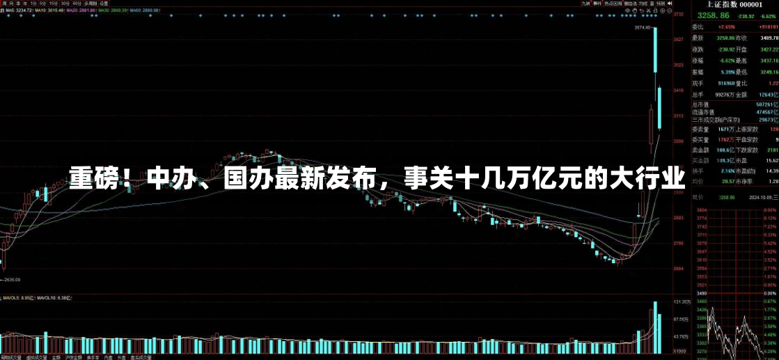 重磅！中办、国办最新发布，事关十几万亿元的大行业-第2张图片