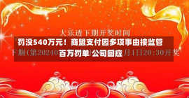 罚没540万元！商盟支付因多项事由接监管百万罚单 公司回应-第2张图片