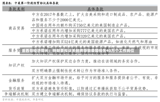 墨西哥经济部长：特朗普拟议关税将导致美国损失40万个工作岗位-第3张图片