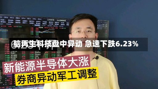 脑再生科技盘中异动 急速下跌6.23%