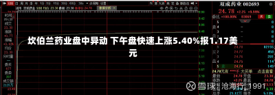 坎伯兰药业盘中异动 下午盘快速上涨5.40%报1.17美元