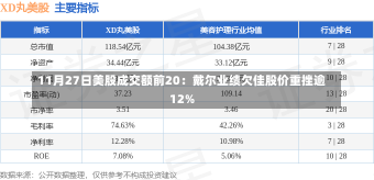 11月27日美股成交额前20：戴尔业绩欠佳股价重挫逾12%-第2张图片