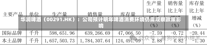 华润啤酒（00291.HK）：公司预计明年啤酒消费环境仍需观察政策影响-第2张图片