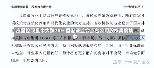 应星控股盘中大跌79% 香港证监会点名公司股权高度集中-第3张图片