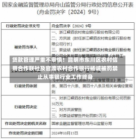 贷款管理严重不审慎！昆明市东川区农村信用合作联社及官渡农村合作银行杨诚被罚禁止从事银行业工作终身