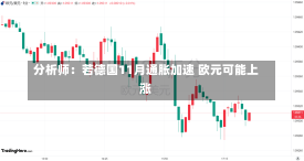 分析师：若德国11月通胀加速 欧元可能上涨