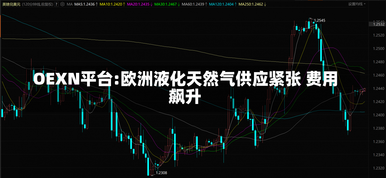 OEXN平台:欧洲液化天然气供应紧张 费用
飙升-第3张图片