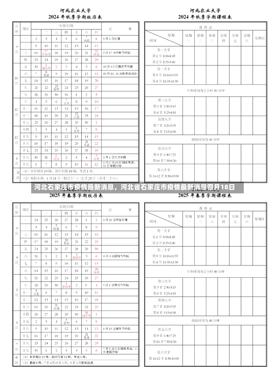 河北石家庄市疫情最新消息，河北省石家庄市疫情最新消息四月18日-第2张图片