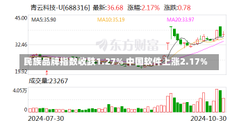 民族品牌指数收跌1.27% 中国软件上涨2.17%-第1张图片