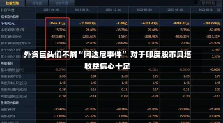 外资巨头们不屑“阿达尼事件” 对于印度股市贝塔收益信心十足