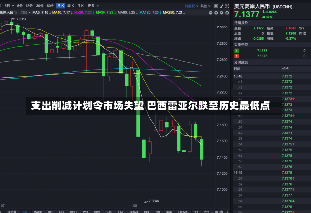 支出削减计划令市场失望 巴西雷亚尔跌至历史最低点-第3张图片