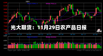 光大期货：11月29日农产品日报-第1张图片