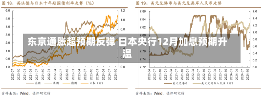 东京通胀超预期反弹 日本央行12月加息预期升温-第1张图片