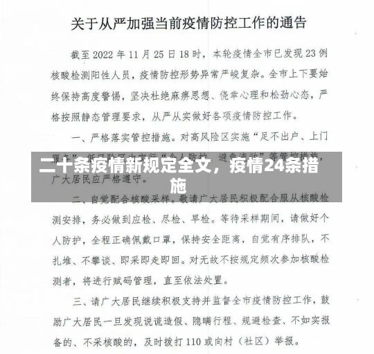 二十条疫情新规定全文，疫情24条措施-第2张图片