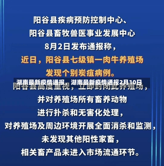 湖南最新疫情通报，湖南最新疫情通报2月10日-第2张图片