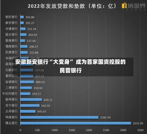 安徽新安银行“大变身” 成为首家国资控股的民营银行-第3张图片