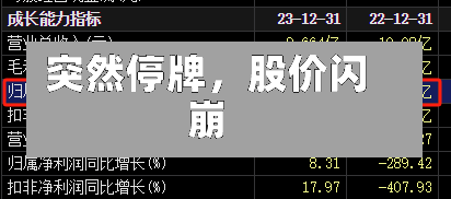 突然停牌，股价闪崩-第2张图片